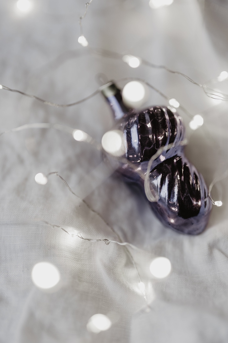 ultra, animal wildlife, one animal, animal themes, animals in the wild, animal, pantone, selective focus, ornaments, reflection, close-up, no people, illuminated