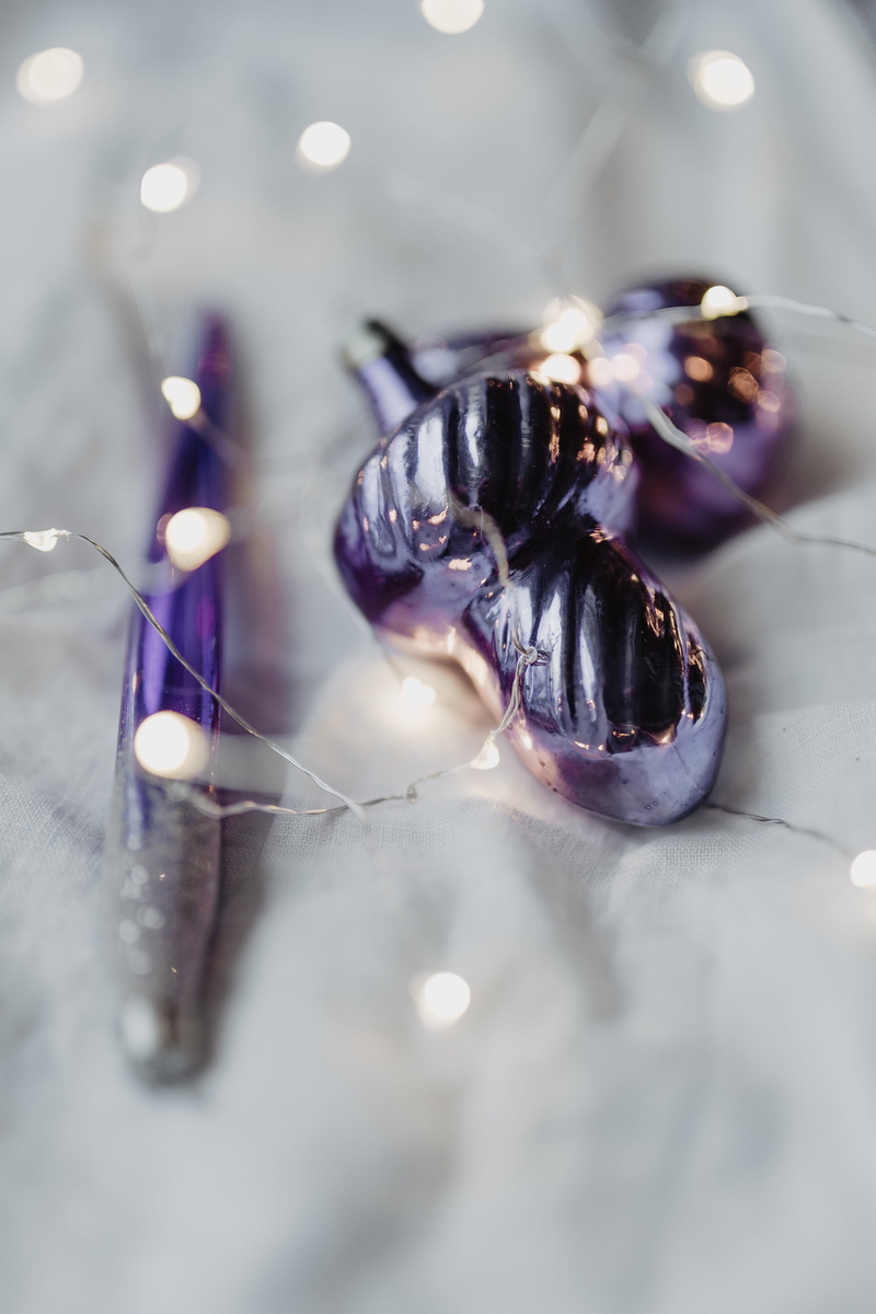 insect, textile, day, violet, close-up, invertebrate, no people, freshness, still life, ultra violet, one animal, animal themes, clean, animal wildlife