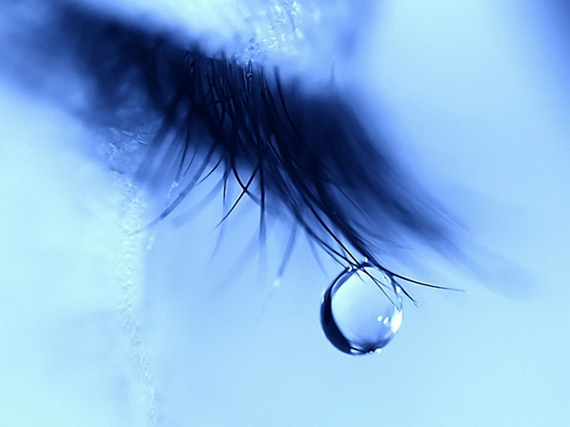 false, nature, water, reflection, beauty In Nature, white, plant, tears, blue, no People, underwater, sea, selective focus, macro, outdoors, blue background
