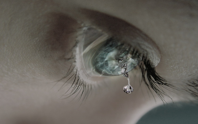human body part, eyesight, iris - eye, women, feather, digital art, one person, extreme close-up, macro, body part, eyes, human face, selective focus, reflection
