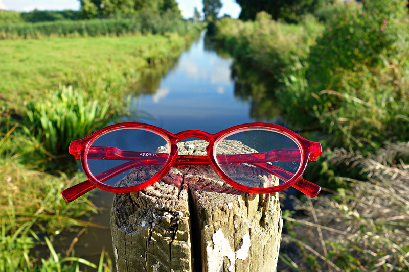 optical, vision, land, 4K, focus on foreground, summer, growth, nature, no people, grass, eye wear, close-up, framed, tranquility, wood - material, eyeglasses