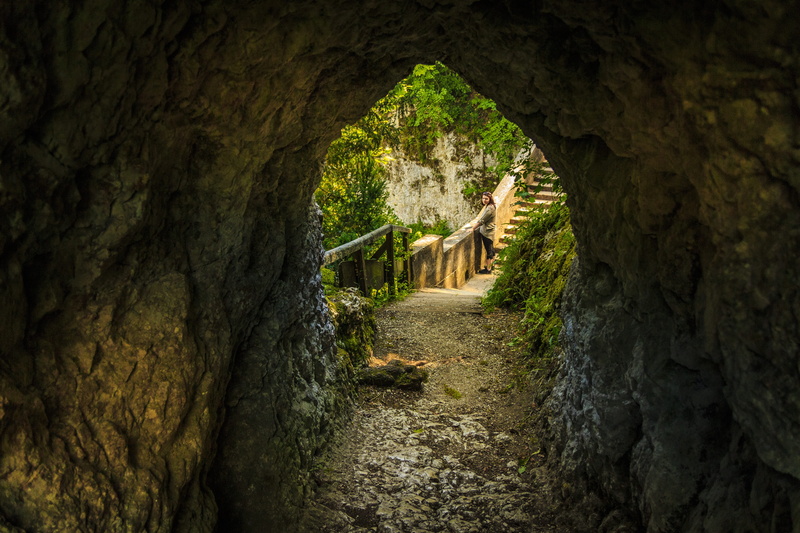 architecture, outdoors, rock, plant, rock formation, stone, ancient civilization, tree, trunk, tunnel, the way forward, textured, built structure, history