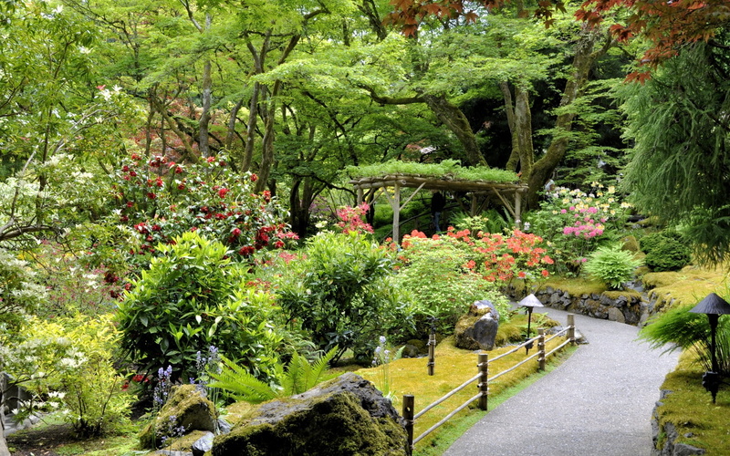 blossom, mammal, tranquility, flower Head, lush Foliage, vegetation, summer, flower, nature, beauty In Nature, green Color, azalea, formal Garden, bush