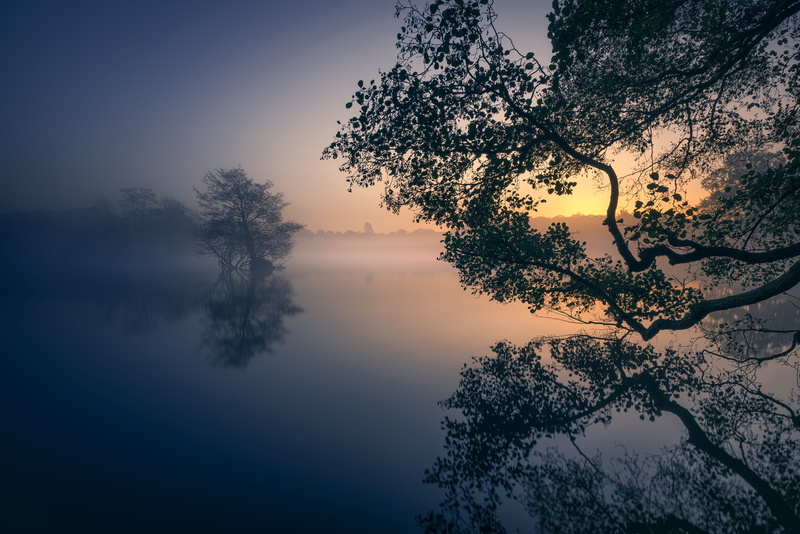 morning, England, lake, Pen Ponds, trees, fog, reflection, dawn, London Borough of Richmond upon Thames, London, 5K, Park, Richmond Park