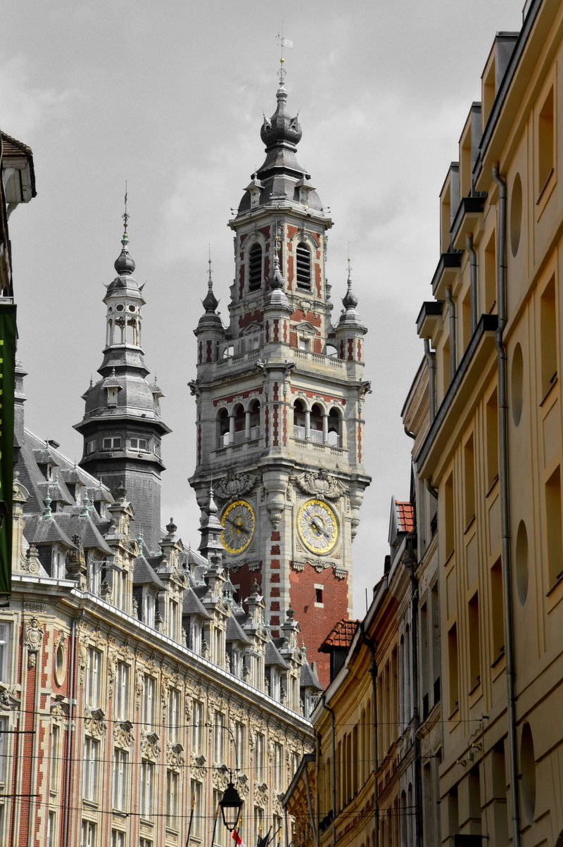 north, sky, ornate, building, the past, belfry of lille, tower, spirituality, old lille, flanders, day, flemish architecture, lille, architecture, clock