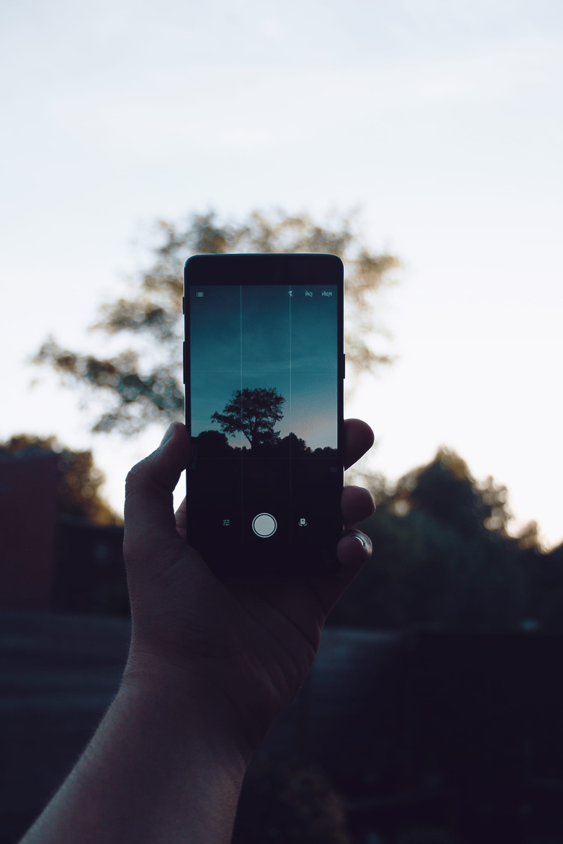 personal perspective, focus on foreground, 2K, photographing, outdoors, ghent, human hand, one person, nature, tree, canon, wireless technology, lut, real people