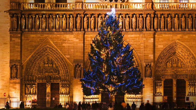 France, Christmas, 1080P, Cathedral, Paris, Christmas tree, Notre Dame de Paris, de, notre, dame
