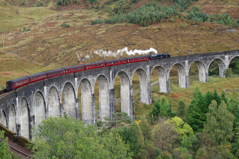 railway bridge, arch bridge, growth, train - vehicle, rail transportation, no people, stone, glenfinnan, mode of transportation, day, connection, plant