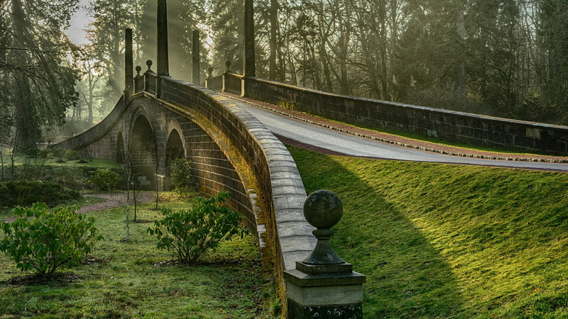 4K, the way forward, stone bridge, united kingdom, grass, railing, built structure, ayrshire, land, tree, architecture, connection, scotland, outdoors