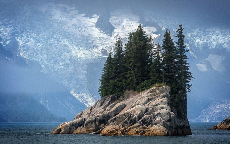 land, water, sea, pine tree, plant, winter, rock - object, solid, cold temperature, tree, mountains, tranquil scene, trees, outdoors, pine, no people, rock