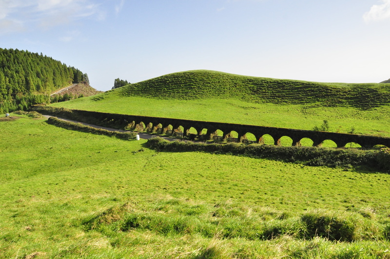 growth, sky, sao miguel, architecture, green color, day, environment, nature, land, green, landscape, field, outdoors, island, beauty in nature, aqueduct