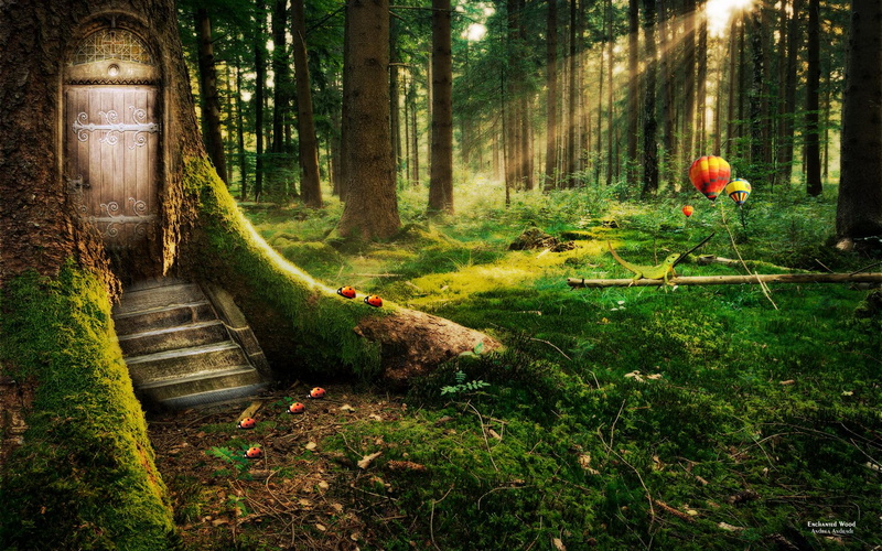 leaf, dreamy and fantasy, forest, enchanted, green, trees, 1080P