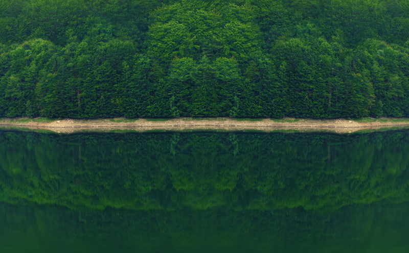 likeness, trees, waterfront, foggy, dark, river, 2015, tranquility, face, scenics - nature, tranquil scene, summer, swamp, non-urban scene, beauty in nature