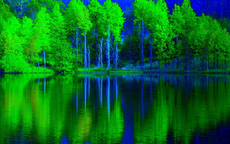 lakes, 1080P, lake, nature and landscapes, forests, enchanting, forest, green, reflection