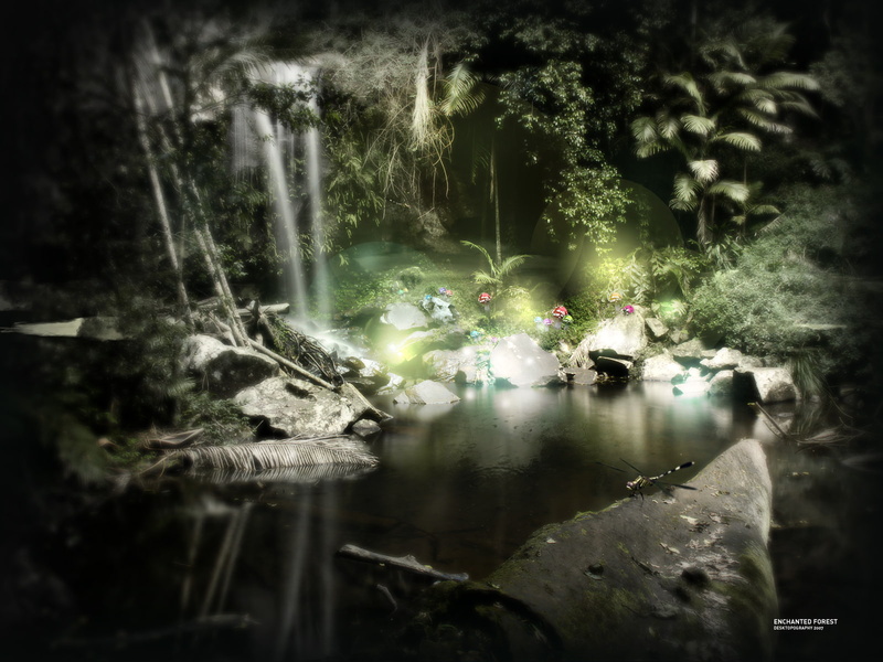 hd, fantasy, jungle, 720P, enchanted, forest