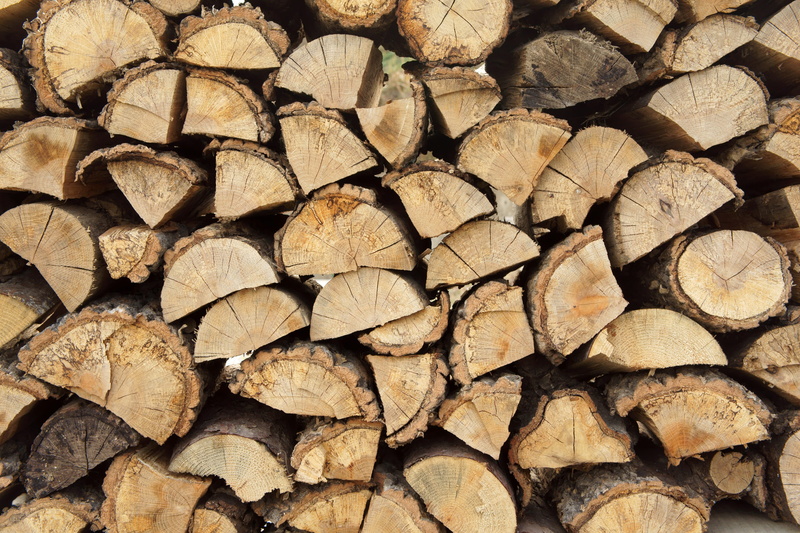 outdoors, fire, large group of objects, no people, pattern, timber, lumber industry, plants, curve, annual zone, forest, stack, 4K, chopped, log, textured