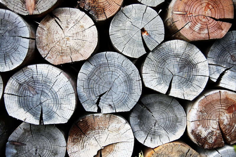 forest, shape, geometric shape, timber, tree, pattern, background, woodpile, design, fuel and power generation, abundance, no people, firewood, deforestation