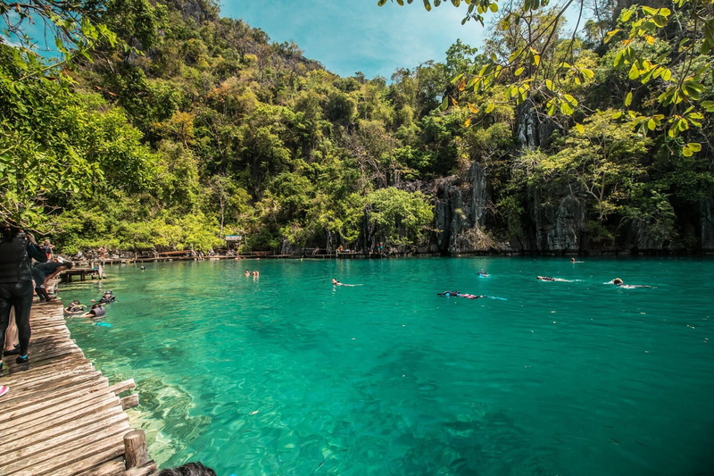aerial, plant, sun, rock, travel, day, tree, scenic, forest, coron, shore, water, lagoon, tranquil scene, scenics - nature, clear, sky, beach, lake, outdoors