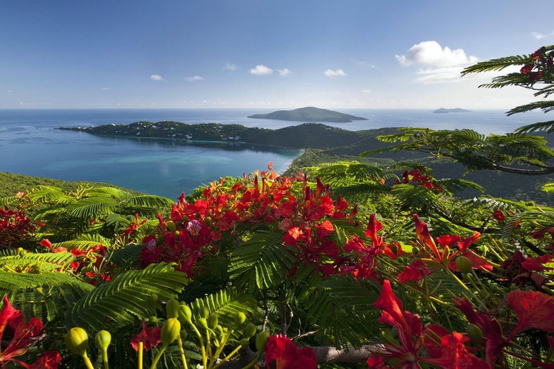 view, incredible, beach, island, tropical, islands, lagoon, flowers, paradise, ocean, mountains, exotic, 2K