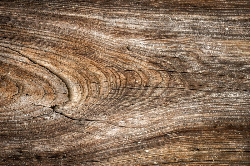 4K, wall, abstract, pattern, brown, flooring, weathered, hardwood, no people, plant, rough, backgrounds, textured, cracked, close-up, interior, wood - material