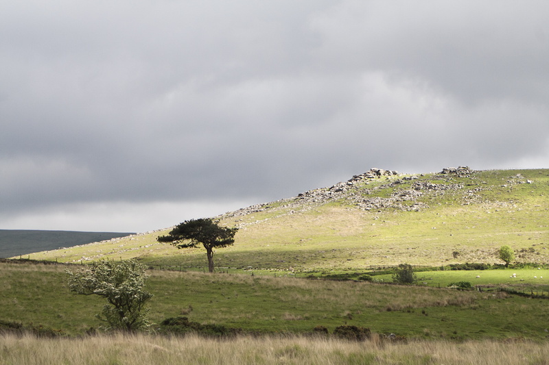 trek, tor, tranquil scene, path, tree, storm cloud, valley, wilderness, rock, ridge, cloud - sky, rain, vibrant, 2K, land, granite, tranquil, nature, scenic