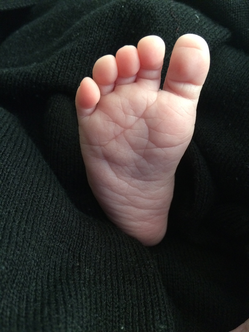 foot, body part, love, care, girl, new, hand, softness, childhood, innocence, tors, one person, young, human hand, human foot, infant, close-up, cute, human finger