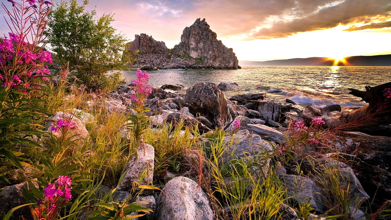 shore, landscape, 1080P, russia, lakeside, burkhan rock, rock, lake, cape burkhan, khuzhir, olkhon island, coast, flower, wildflower, burkhan, bank, lake baikal