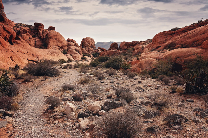 physical geography, red, cliff, scenic, desert, eroded, hiking, travel destinations, formation, nature, solid, sky, sunset, red rock canyon, climate, landscape