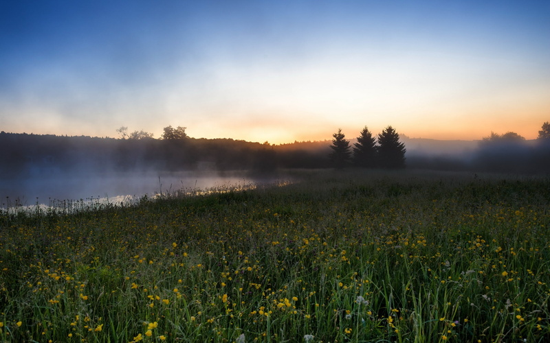 Fog, Fields, 2K, River, Scenery, Morning