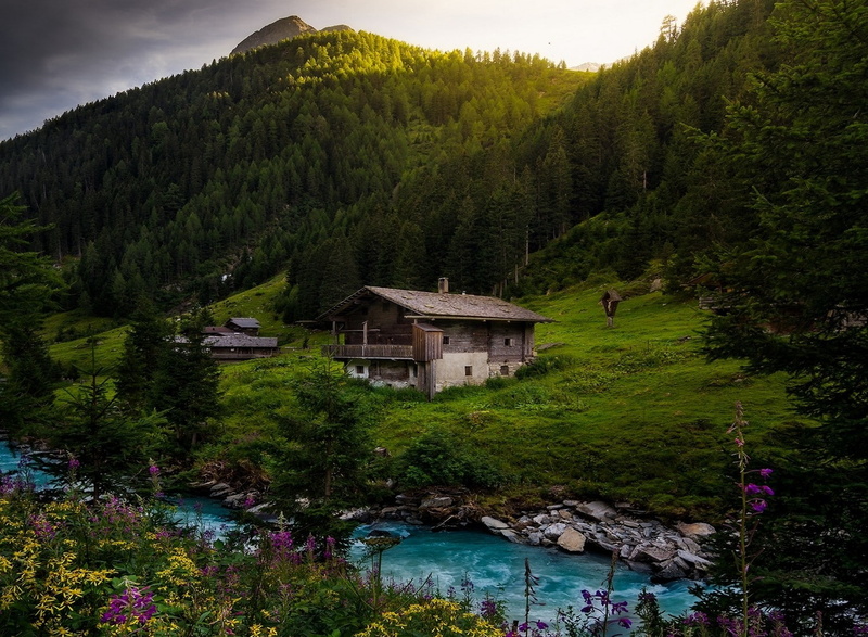 alps, wildflowers, mountain, green, nature, forest, austria, landscape, sunrise, cottage, spring, 720P, river