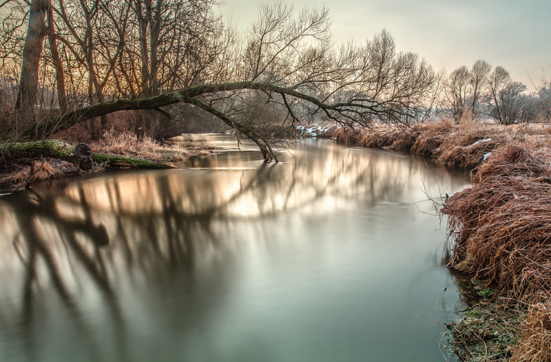 trees, snow, 1080P, s, river, morning, frost