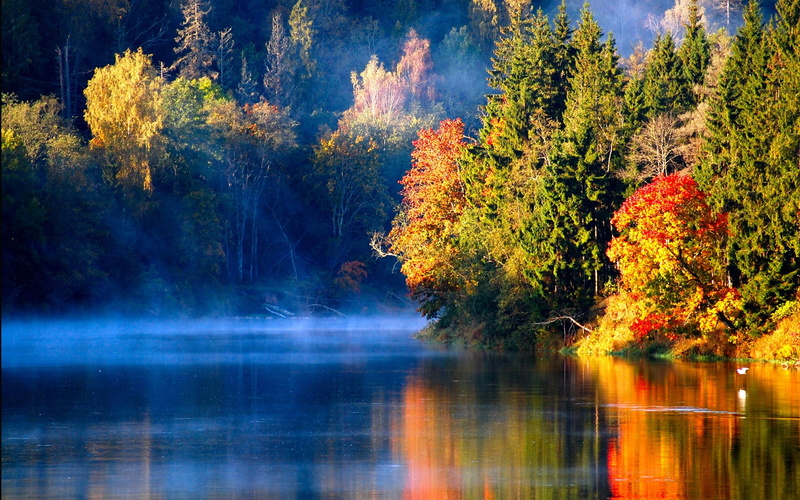 Autumn, Forest, Mist, 1080P, River, Latvian, Morning