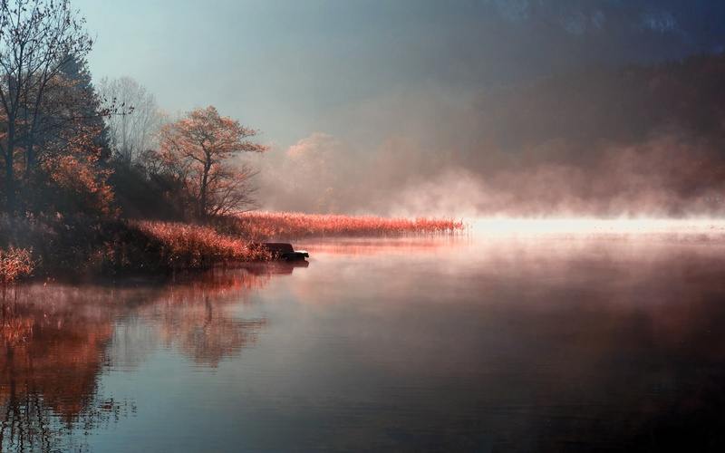 Morning, 1080P, River, Mist, Natural, Autumn