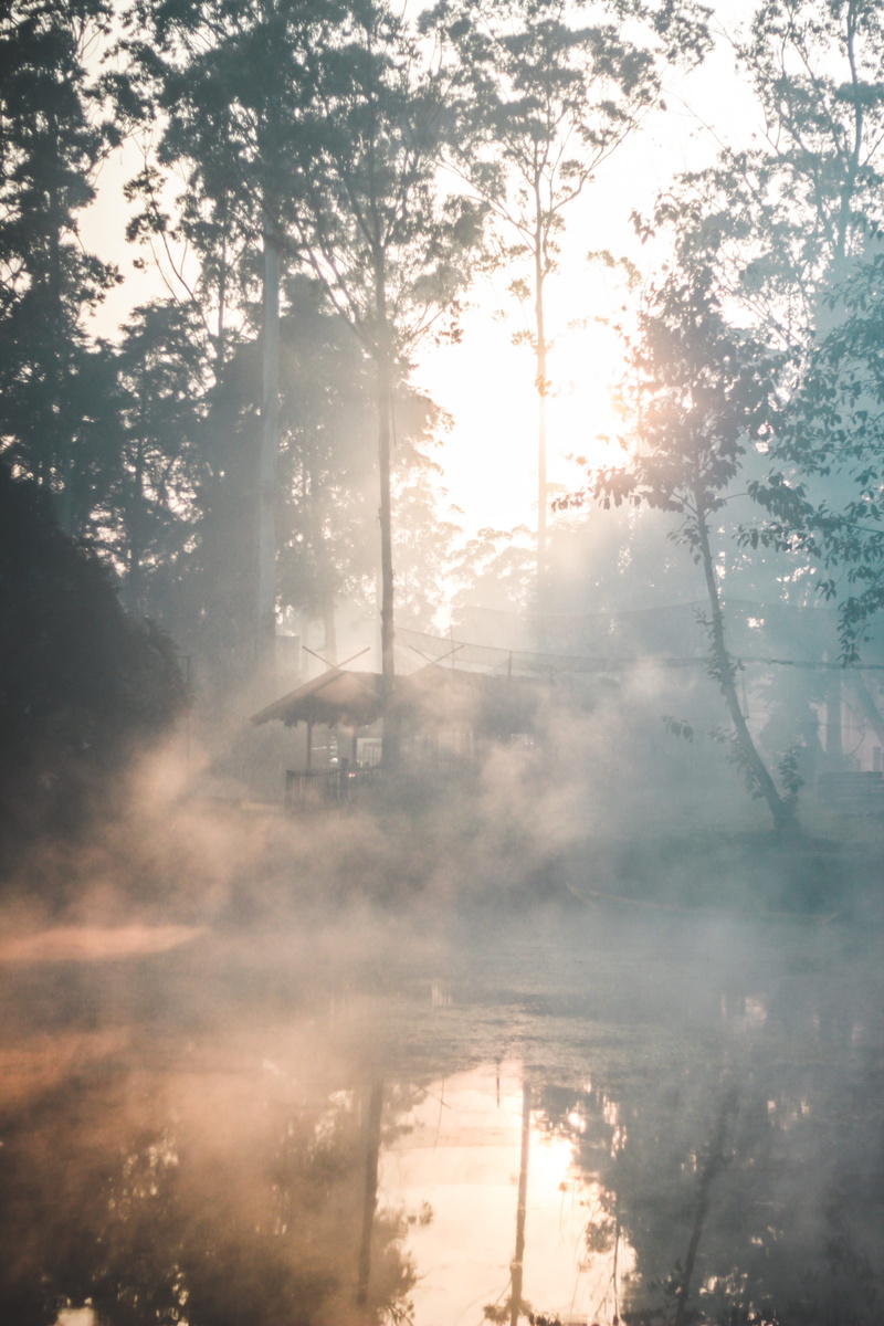 ranca upas, solar flare, sunlight, growth, hazy, tranquility, land, day, outdoors, non-urban scene, sky, 5K, scenics - nature, plant, beauty in nature