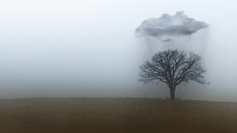 land, isolated, trees, non-urban scene, morning, tree, beauty in nature, environment, tranquility, hazy, bare tree, 1080P, remote, sky, no people, smog
