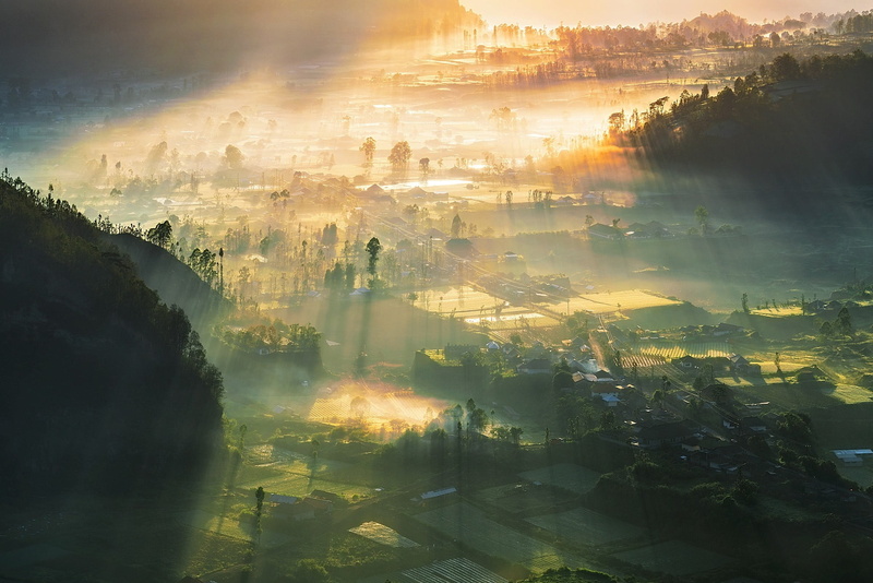 no people, beauty in nature, field, tranquility, outdoors, architecture, tree, building exterior, high angle view, fog, sky, plants, 1080P, sunlight, valley