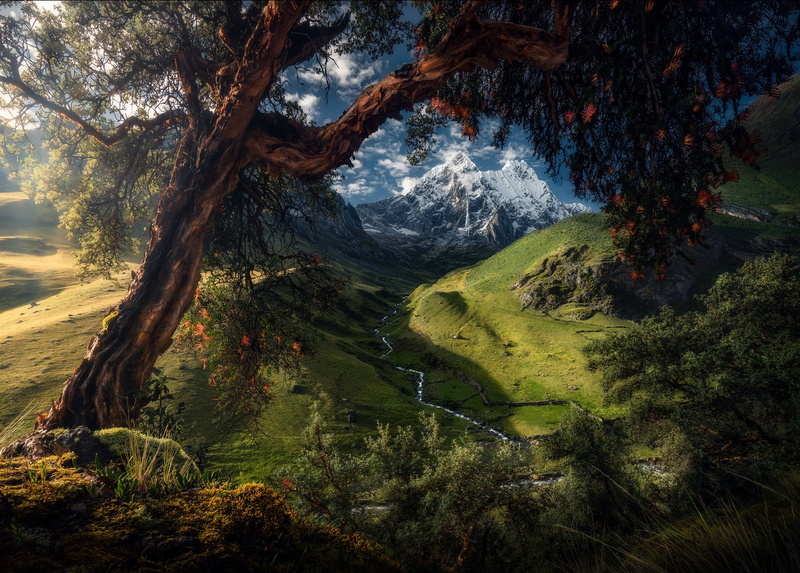 meadows, 1080P, hills, nature, trees, mountains, snow, landscape, summer, Peru, glaciers, Max Rive, valley