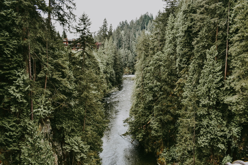 remote, outdoors, forest, environment, stream, tranquil scene, river, flowing water, mountain, scenics, 5K, nature, no People, beauty In Nature, scenics - nature