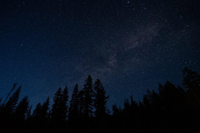astronomy, radiance, starry sky, silhouette, moon, star, larch, low angle view, scenics - nature, space, scenics, winter, snow, no People, night, milky Way