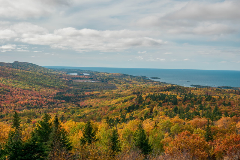 keweenaw, landscape, tree, beauty in nature, environment, outdoors, nature, cloud - sky, sky, growth, day, fir, pine, no people, countryside, larch, united states