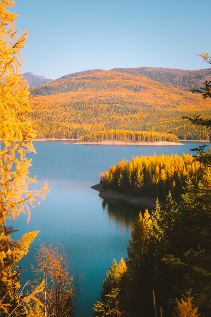 nature, idyllic, sky, growth, change, reflection, calm, wilderness, beside, 4K, remote, autumn, spruce, land, plant, larch, beauty in nature, lake, ocean