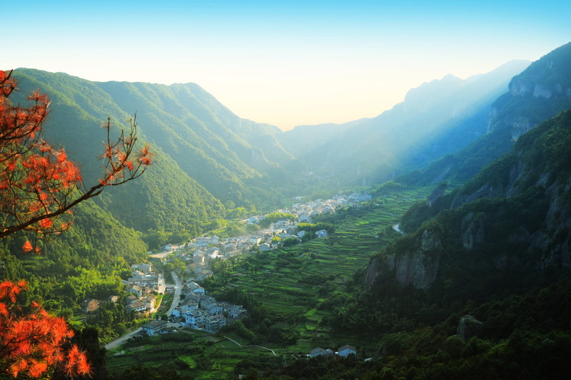 mountain, 5K, larch, flora, growth, land, outdoors, crest, valley, maple, day, tranquil scene, idyllic, mountains, vegetation, forest, wenzhou, china