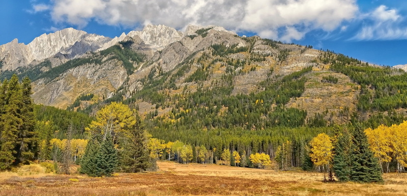 mountains, pine woodland, growth, rocky Mountains, no People, green Color, grass, mountain Peak, gray, landscape, nature, tree, mountain, outdoors, season