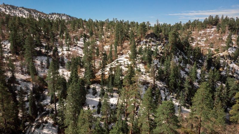 big bear, architecture, outdoors, no people, fir, coniferous tree, tree, pine, day, scenery, larch, pine woodland, beauty in nature, high angle view, land