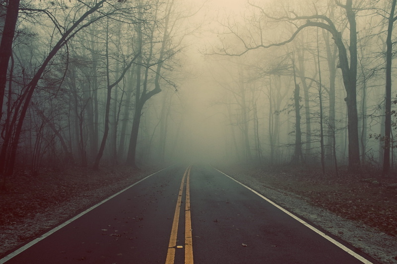 vanishing Point, land, nature, branch, non-Urban Scene, footpath, dark, beauty In Nature, season, outdoors, rural Scene, winter, woodland, bare tree, road