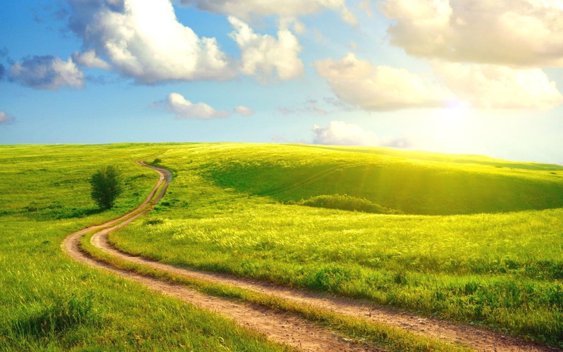 plant, hill, tree, farm, landscaped, scenics, cloudscape, green Color, europe, rolling landscape, day, environment, wheat, landscape, grass, nature, summer