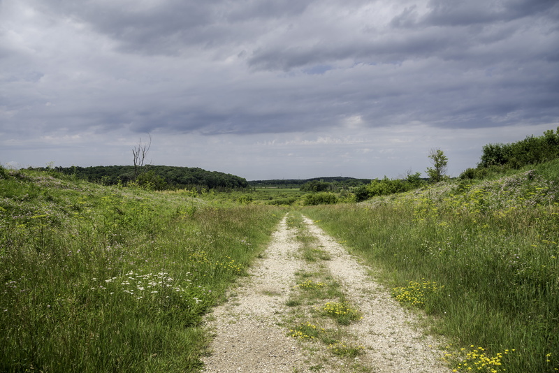 blue, State Wildlife Area, green Color, growth, trail, Goose Lake, tranquil scene, day, scenics - nature, grass, goose, sky, state, nature, public domain