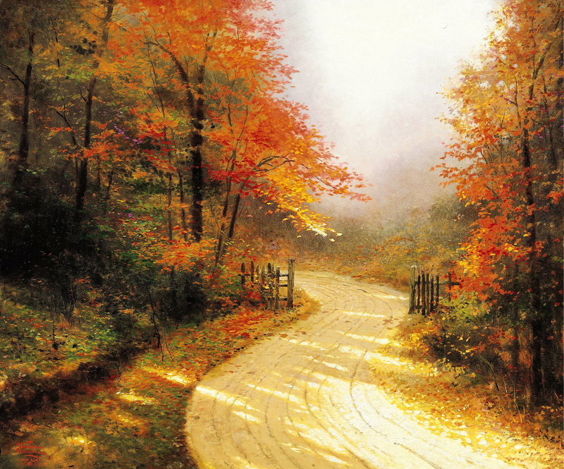 tranquility, footpath, no People, fog, orange Color, season, idyllic, growth, change, colors, scenics - nature, vibrant Color, Autumn Lane, lush Foliage