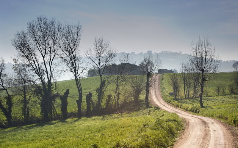 landscaped, cloud - Sky, bare, grass, tree, europe, country Road, landscape, season, nature, plant, bare tree, pasture, no People, scenics - nature, non-Urban Scene