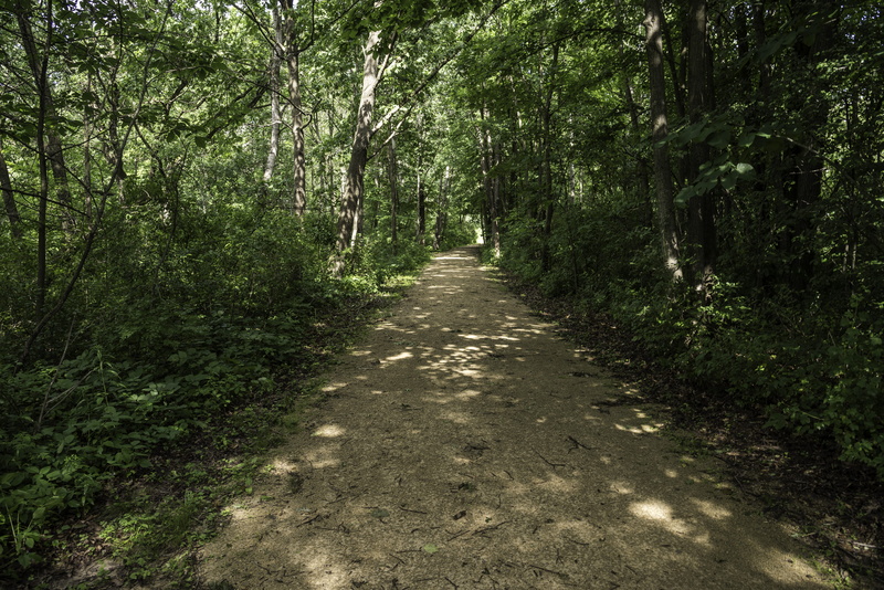 dark forest, land, tranquility, camrock county park, public domain, camrock, Dark, direction, forest, rural Scene, scenics, park, Forested, trail, woodland